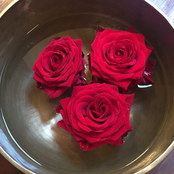 Roses1